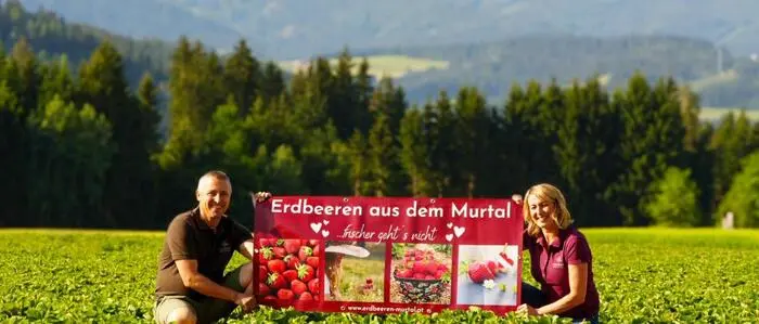 Barbara Hafellner betreibt mit ihrer Familie drei Erdbeerfelder im Murtal