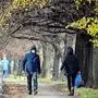 A man wearing a face mask walks in a park in western Moscow, on October 26, 2021, amid the crisis linked with the Covid-19 pandemic. - There were 36,446 new infections over Russia and 1,106 deaths registered in the country over 24 hours, hitting a new death record according to the official toll. (Photo by Alexander NEMENOV / AFP)