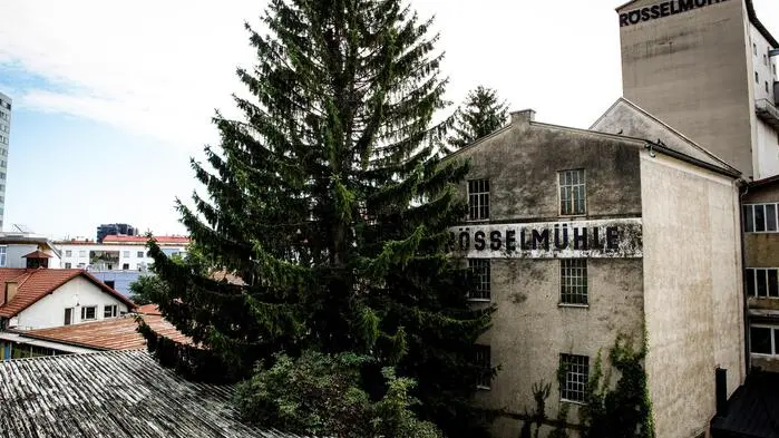Das war einmal: Die Rösselmühle schlummerte viele Jahre als „Lost Place“ vor sich hin,  nach einem Brand wurden einige Gebäude abgerissen