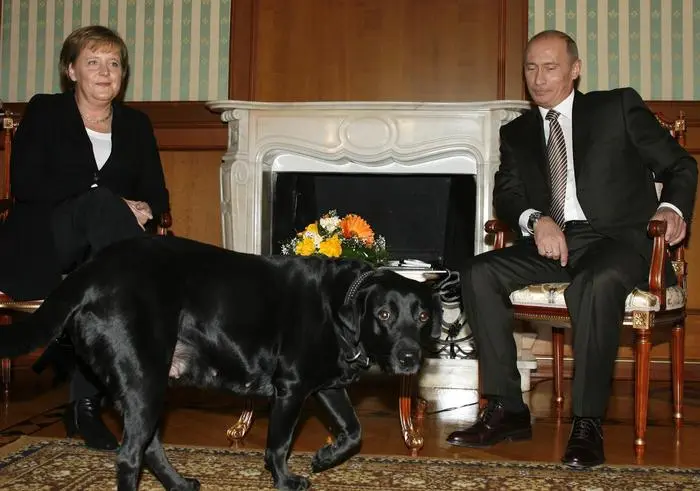 FILE - German Chancellor Angela Merkel and Russian President Vladimir Putin, look on as Putin's dog Cony walks past, during the meeting in Putin's residence in the Russian Black Sea resort of Sochi, Sunday, Jan. 21, 2007.  (AP Photo/Mikhail Metzel, File)