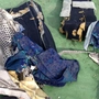 66 Menschen starben bei dem Flugzeugabsturz der EgyptAir MS804.