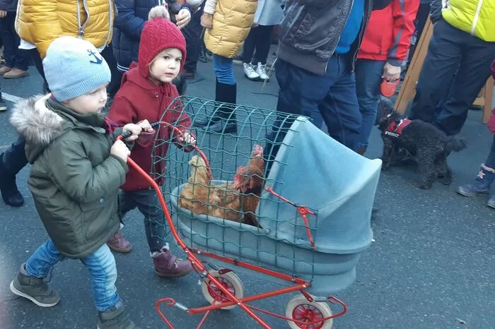 Die Tierhalter brachten Haustiere aller Art - vom Hund bis zum Huhn.