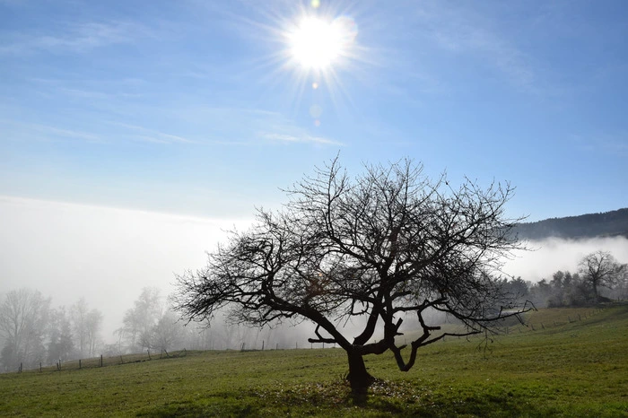 Zehn Jahre später, am 28. November 2020: Kein Schnee in Sicht