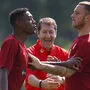 David Alaba, Franco Foda und Marko Arnautovic