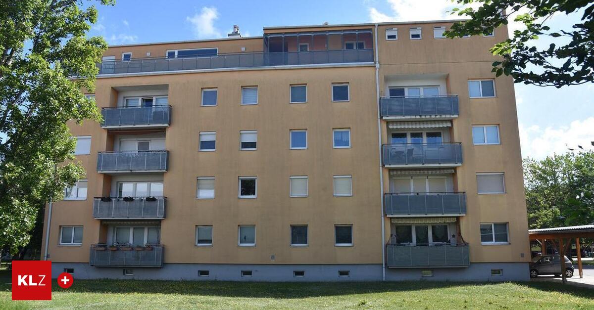 Steirer-soll-27-j-hrige-Nieder-sterreicherin-aus-Kr-nkung-erschossen-haben