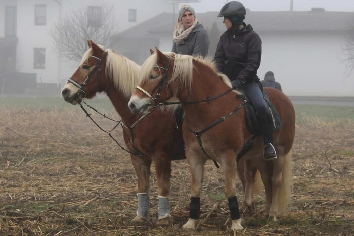 Herausgeputzt auf das Feinste präsentierten sich Ross und Reiter
