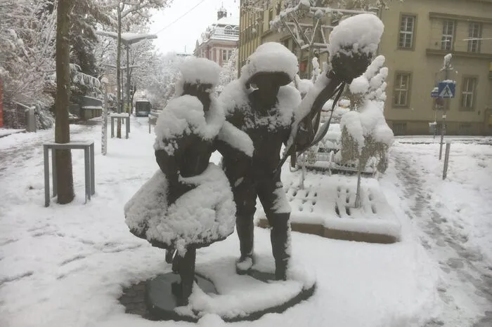 Trachtenpärchen mit Schneehaube