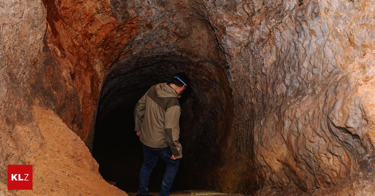 Die-Grazer-Hufeisennasen-verlassen-ihr-Winterquartier