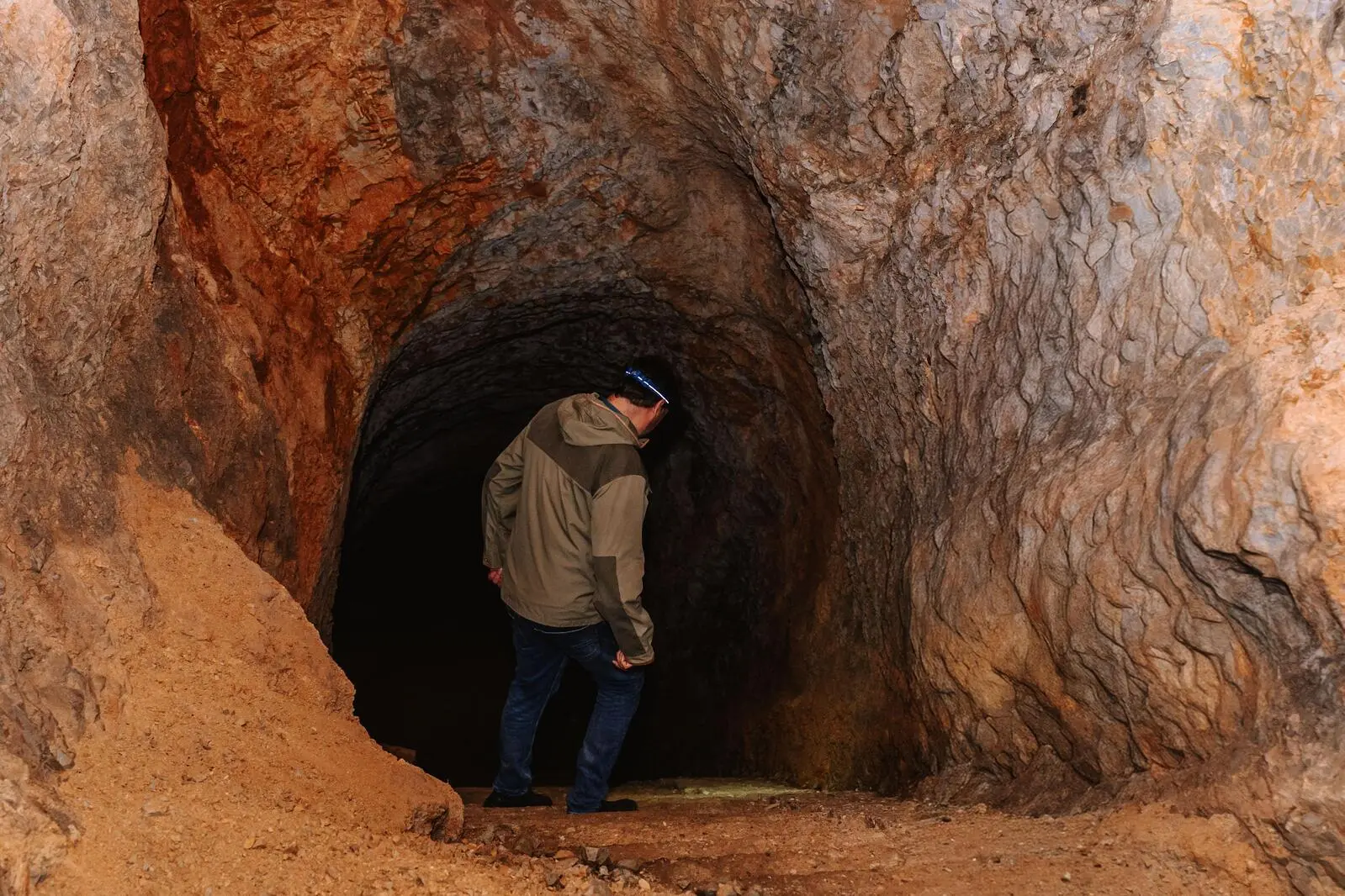 Im Luftschutzstollen aus der NS-Zeit überwintern vom Aussterben bedrohte Fledermäuse