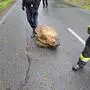 Auch die Polizei war vor Ort
