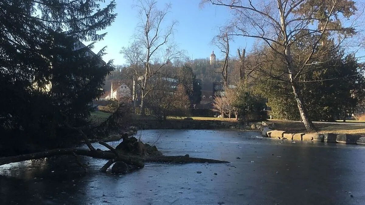 Eine dünne Eisschicht im Stadtpark Mitte Jänner - mit den teils frostigen Temperaturen ist es jetzt schon bald wieder vorbei