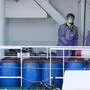 Der Hantavirus-Ausbruch auf der MV Hondius hat Verschwörungstheorien beflügelt. Im Bild: Menschen in Schutzkleidung arbeiten nach der Ankunft des Kreuzfahrtschiffs im Hafen von Rotterdam an Bord.