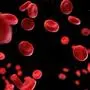3d rendered medically accurate illustration of human blood cells