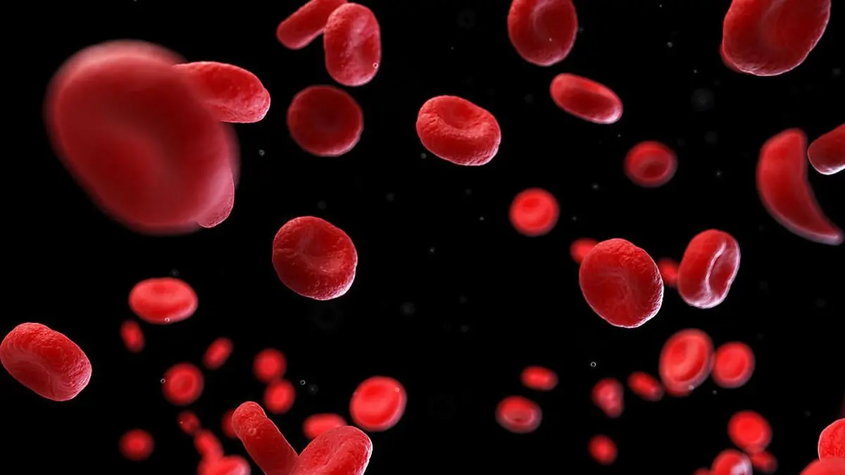 3d rendered medically accurate illustration of human blood cells