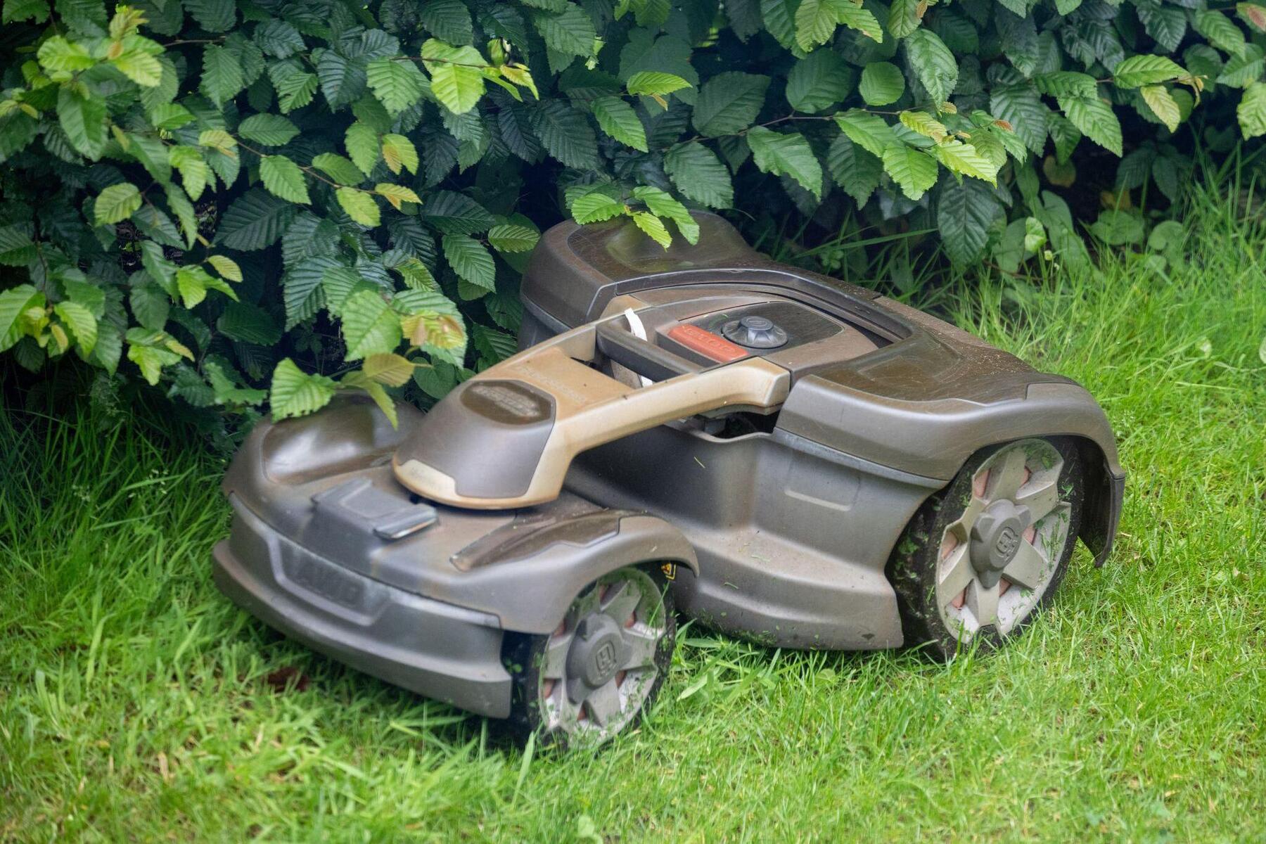 Müssen Mähroboter zukünftig in der Nacht stillstehen?