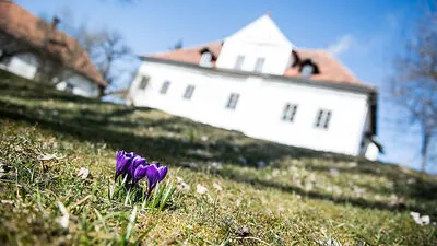 Im Tonhof soll das Willkommensfest stattfinden.