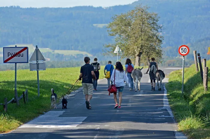 Adriana Schratzmayer, Petra Saurugg, Christian Strassegger, Soizig Le Vergos und Michaela Zingerle wählten während der Wanderung besondere Plätze aus, die Motive wurden in Skizzenbüchern mit Stift und Feder festgehalten.