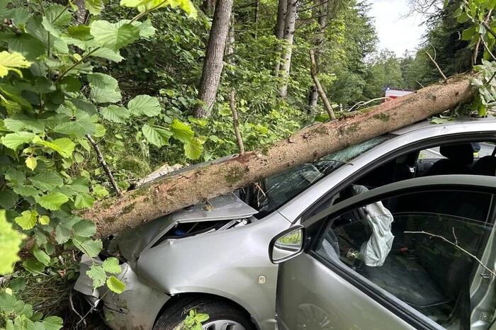 Ein Pkw war aus bisher ungeklärter Ursache von der Straße abgekommen.