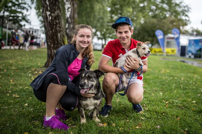 Klicken Sie sich durch die Bilder vom Dogging-Rahmenprogramm