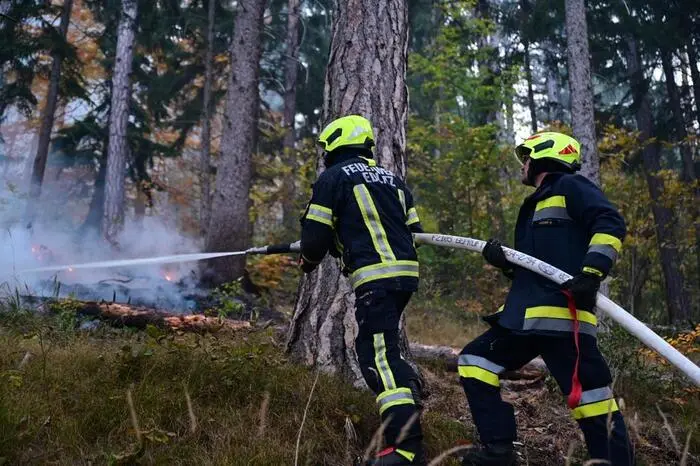 Ein Überspringen der Flammen auf die Rax gelte es unbedingt zu verhindern, sagte Franz Resperger vom Landesfeuerwehrkommando...