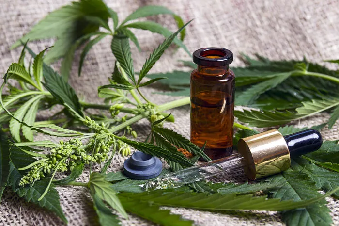 ... nicht berauschend.CBD steht für Cannabidiol und ist ein Bestandteil der Cannabispflanze, der kaum psychoaktiv wirkt. Aber was bewirkt CBD dann? 