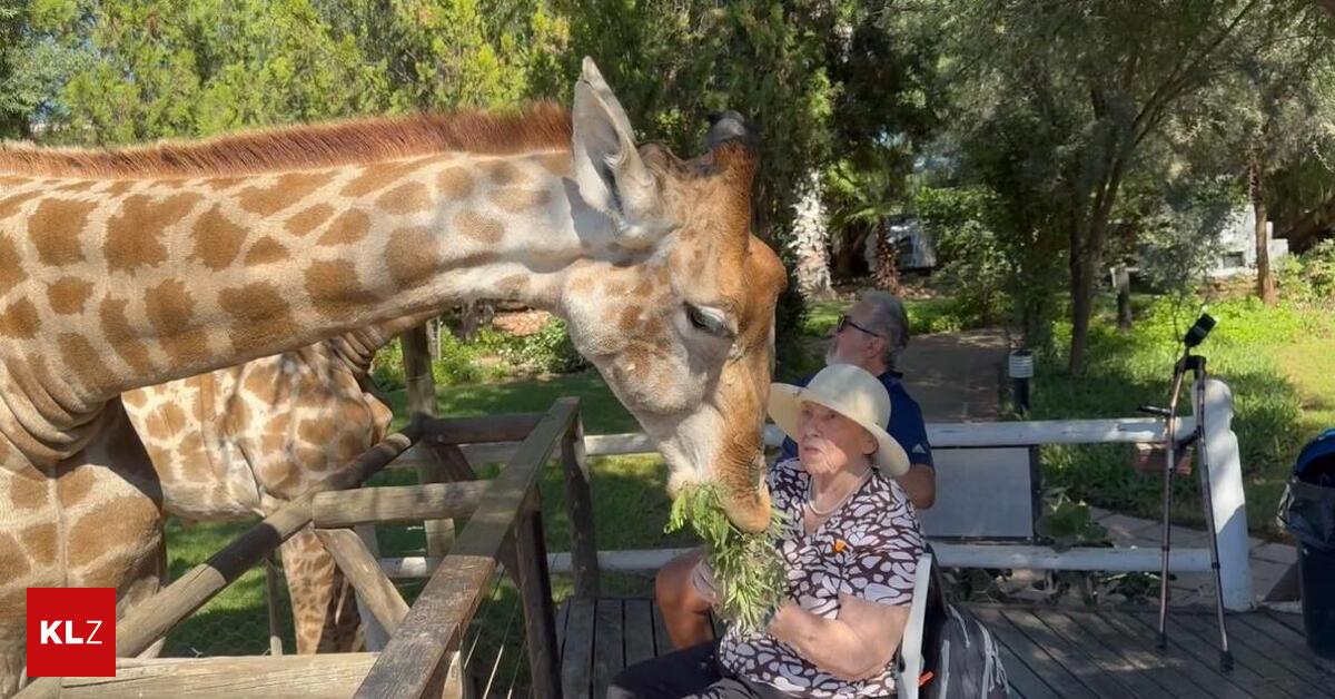 Familie-erf-llte-Traum-Knapp-100-j-hrige-Steirerin-brach-zu-Abenteuer-S-dafrika-auf