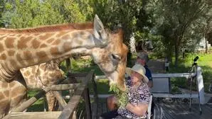 Die bald 100-jährige Charlotte Lackner beim Füttern der Giraffen in Südafrika