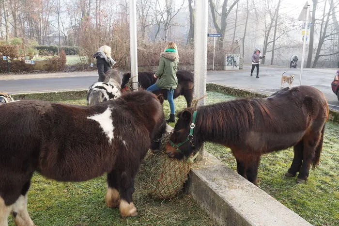 Bitte klicken Sie sich durch die Bilder. . .