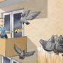 Mit der „Taubenplage“ auf einem Balkon beschäftigte sich auch schon der Oberste Gerichtshof