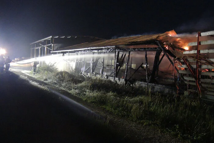 Bei den Löscharbeiten wurde ein Feuerwehrmann verletzt. Er stürzte in der Nähe eines Baches und verletzte sich an Kopf und Ferse, konnte das Krankenhaus nach ambulanter Behandlung allerdings bereits wieder verlassen.