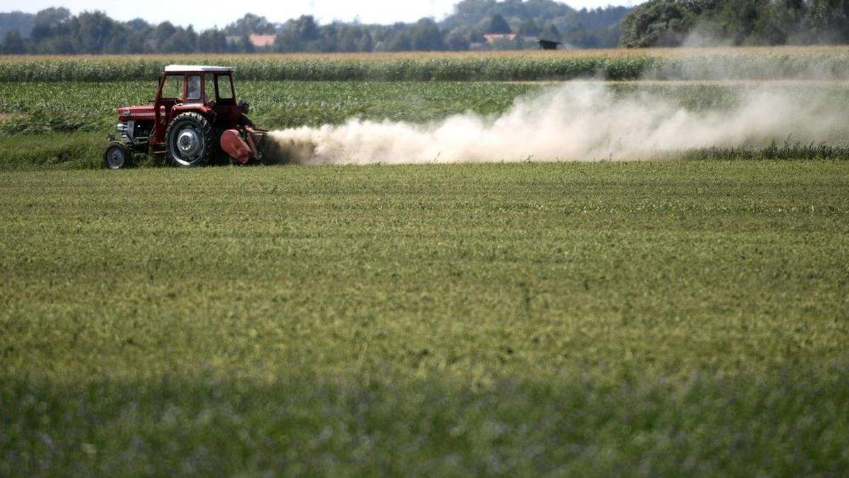 Jetzt bedroht nicht die Trockenheit, sondern das Corona-Virus die steirische Landwirtschaft