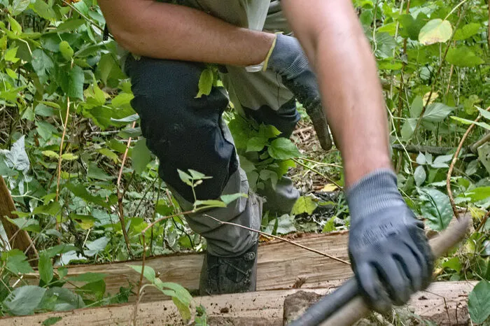 Eindrücke von den Arbeiten am Wanderweg auf der Falkensteinalm