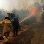 Feuerwehrleute kämpfen gegen die Flammen in Kalamos, etwa 45 Kilometer östlich von Athen