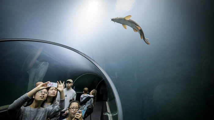 Einblick in den Lebensraum Wasser gibt ein neues Aquarium in Lausanne in der Schweiz.