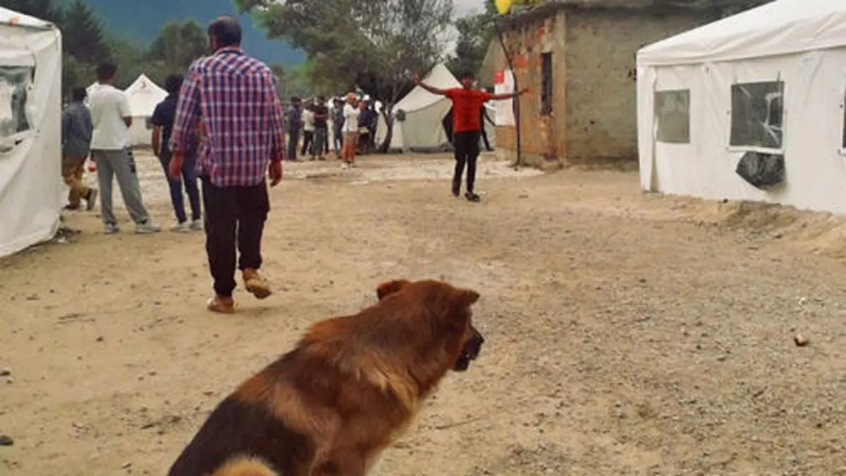 Die meisten Bewohner stammen aus Afghanistan oder Pakistan