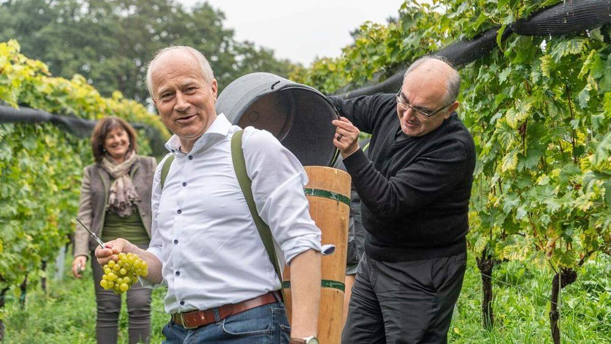 Gemeinsame Weinlese: Bischof Wilhelm Krautwaschl und Hans Seitinger, zuständiger Landesrat für die Weinbauschule Silberberg