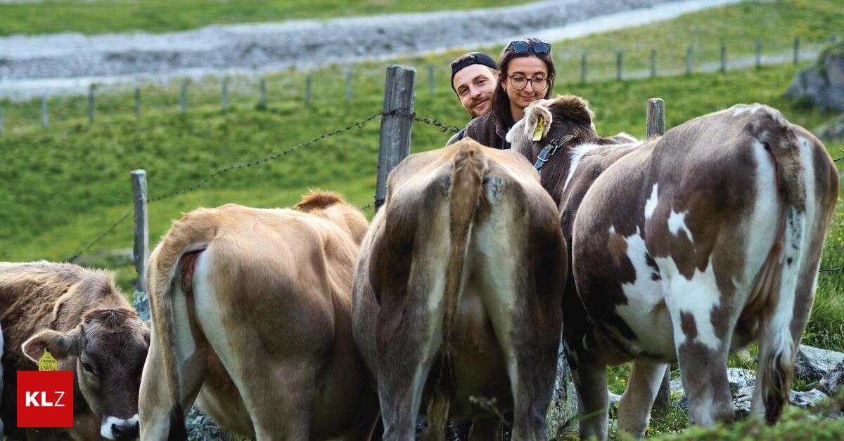 Madeleine-Becker-schrieb-ein-Buch-ber-Leben-auf-westeirischem-Bauernhof