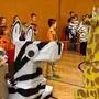 Rund 100 Volksschülerinnen und - schüler werden mit Giraffe, Zebra, Erdmännchen und Löwe auf der Bühne stehen