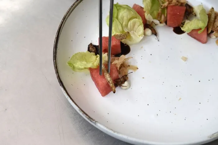 Danach gibt es zum Beispiel Wassermelonensalat mit Raupen.