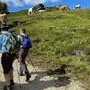 Das Lavanttal kann mit sanftem Tourismus und Wanderurlauben punkten (Sujetfoto)
