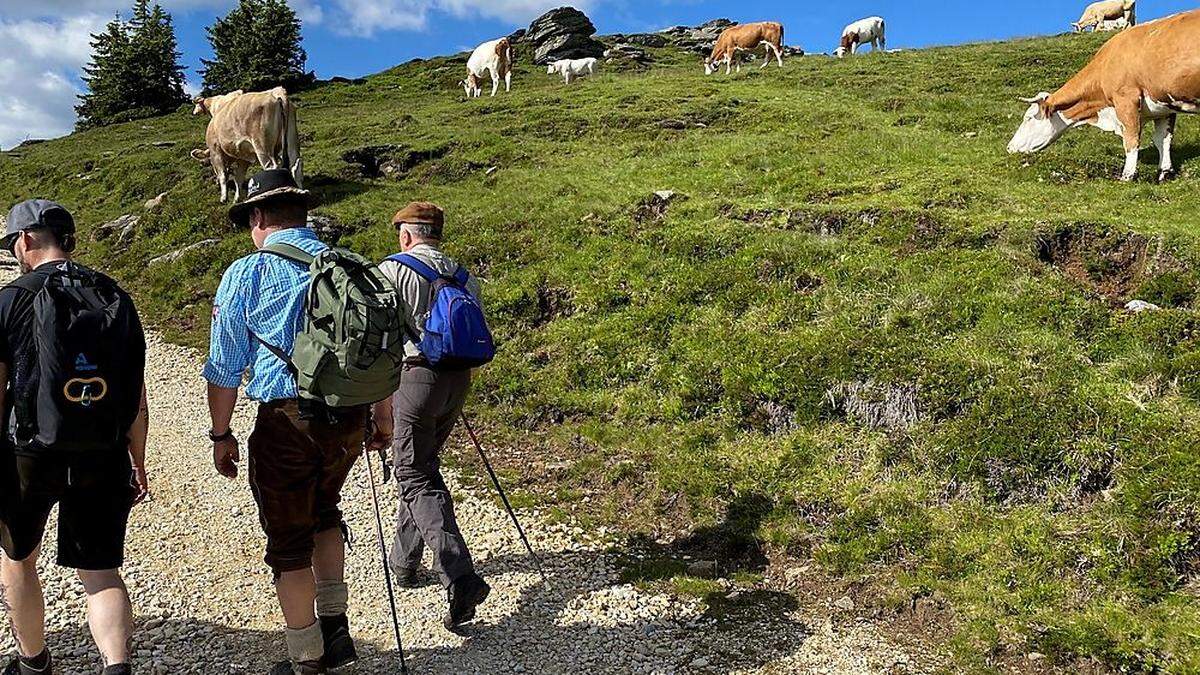 Das Lavanttal kann mit sanftem Tourismus und Wanderurlauben punkten (Sujetfoto)