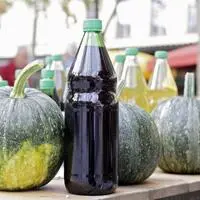 Ein Pensionist nahm eine Kernölflasche und bezahlte den Preis für Essig in einem Hofladen, weswegen ihm Diebstahl vorgeworfen wird (Sujetbild)