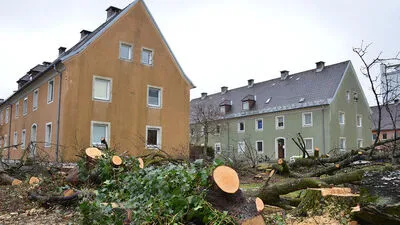 Nicht nur das Fällen der Bäume in der Kanaltalersiedlung regt Mieter und Anrainer auf