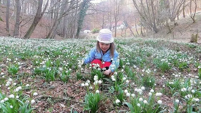 Leserreporterin Maria Plaschg aus Gnas hat ihre Enkelin Frieda beim Blumenpflücken fotografiert