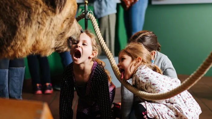 Ein lebensgroßer Braunbär, der sich als Honigdieb entlarvt, bereichert jetzt die naturwissenschaftliche Abteilung der Sonderschau.