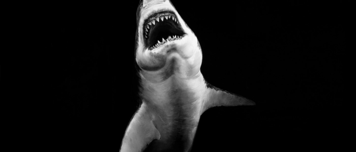 Robert Longo, „Ohne Titel (Phantom Vessel)“, zu sehen noch bis 26. Jänner in der Wiener Albertina