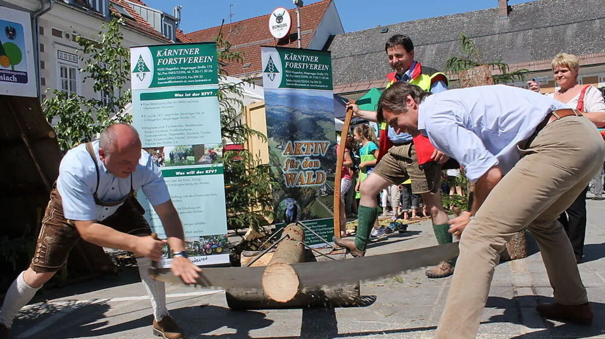 Auch heuer wieder wartet auf die Besucher des Walderlebnistages ein großes Rahmenprogramm