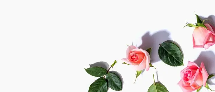 Der 8. März ist der internationale Frauentag