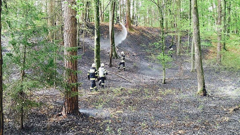 Rund 5000 Quadratmeter Waldboden brannten