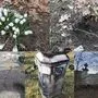 Schäden und abgelagerte Abfälle im Schlosspark Eggenberg